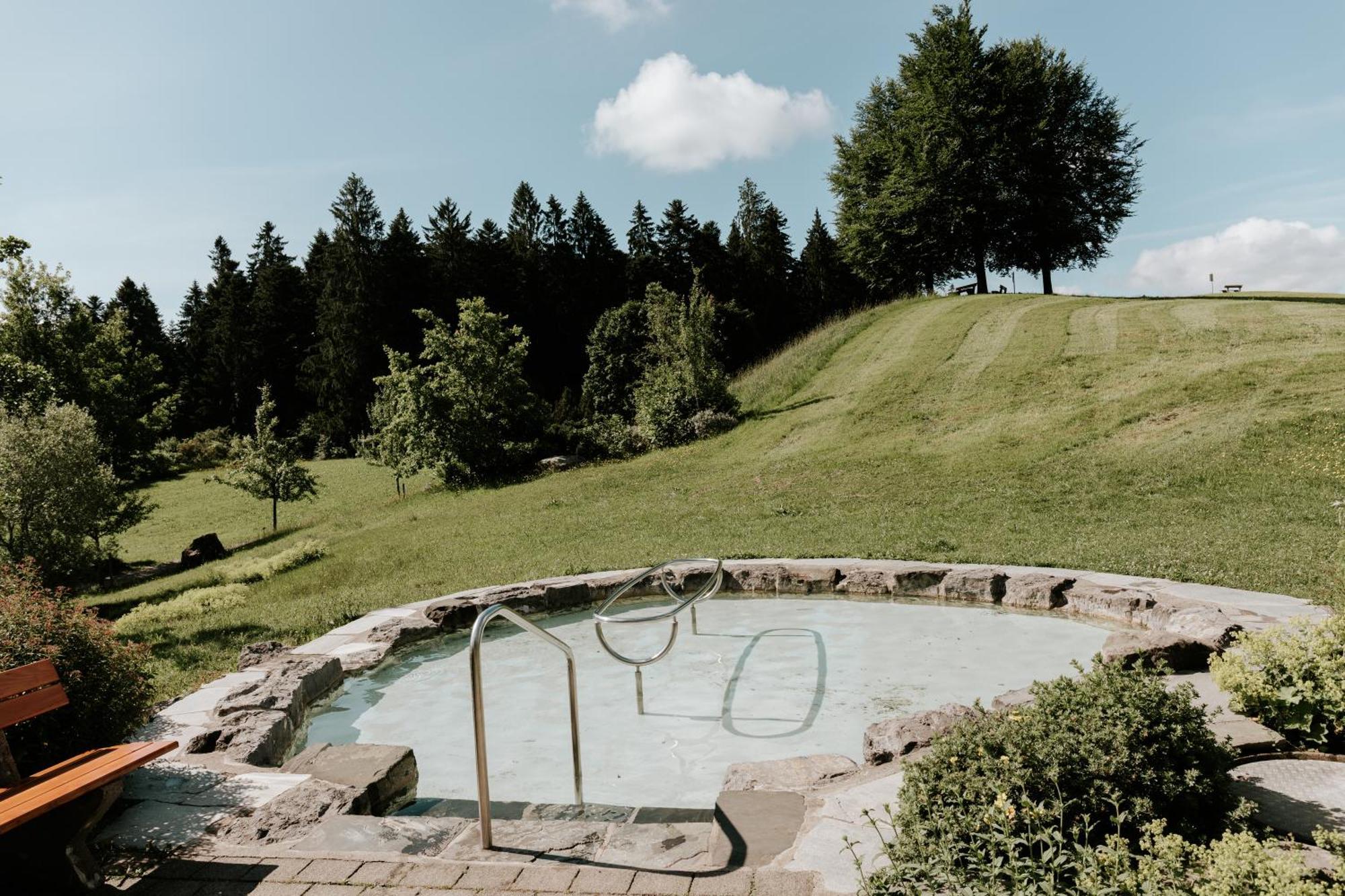 Heimatel - Ferienhaus Prinz-Lui Scheidegg Exterior foto